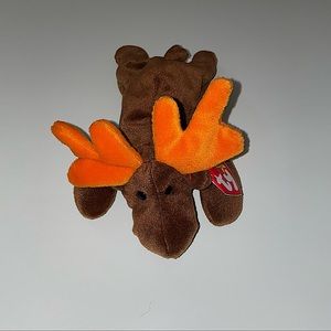 Chocolate the Moose Ty Beanie Baby